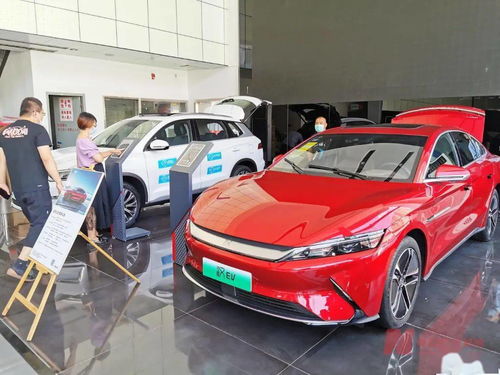 新能源车补贴退坡调查 市场终端火爆，车企策略分化，今年销量剑指600万辆